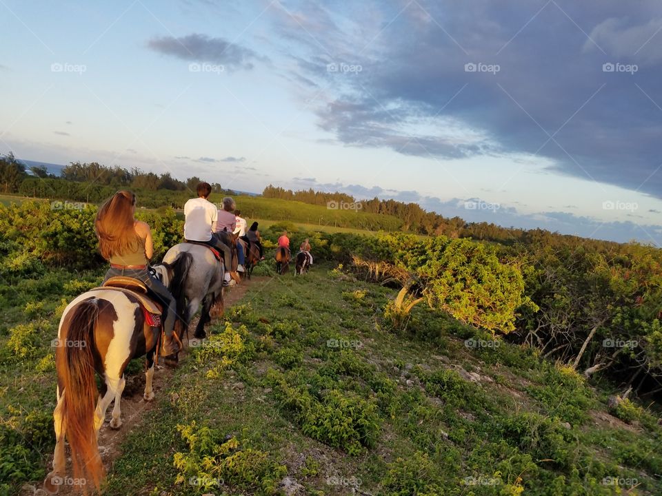 Oahu horseback ride.