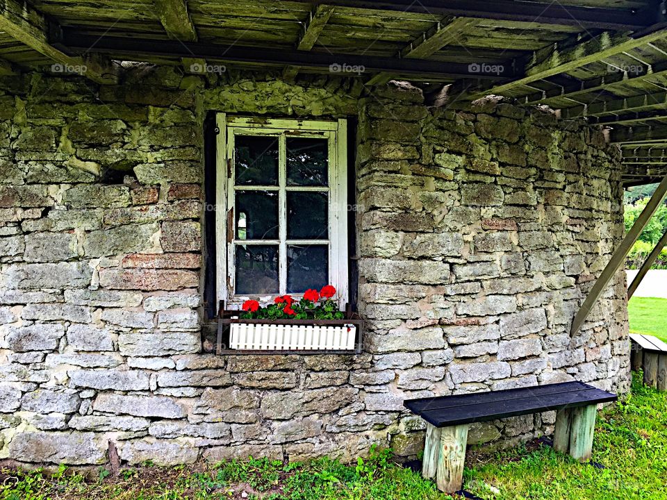 Windmills window!