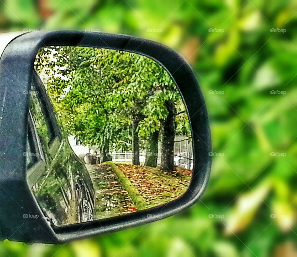 Wing Mirror View