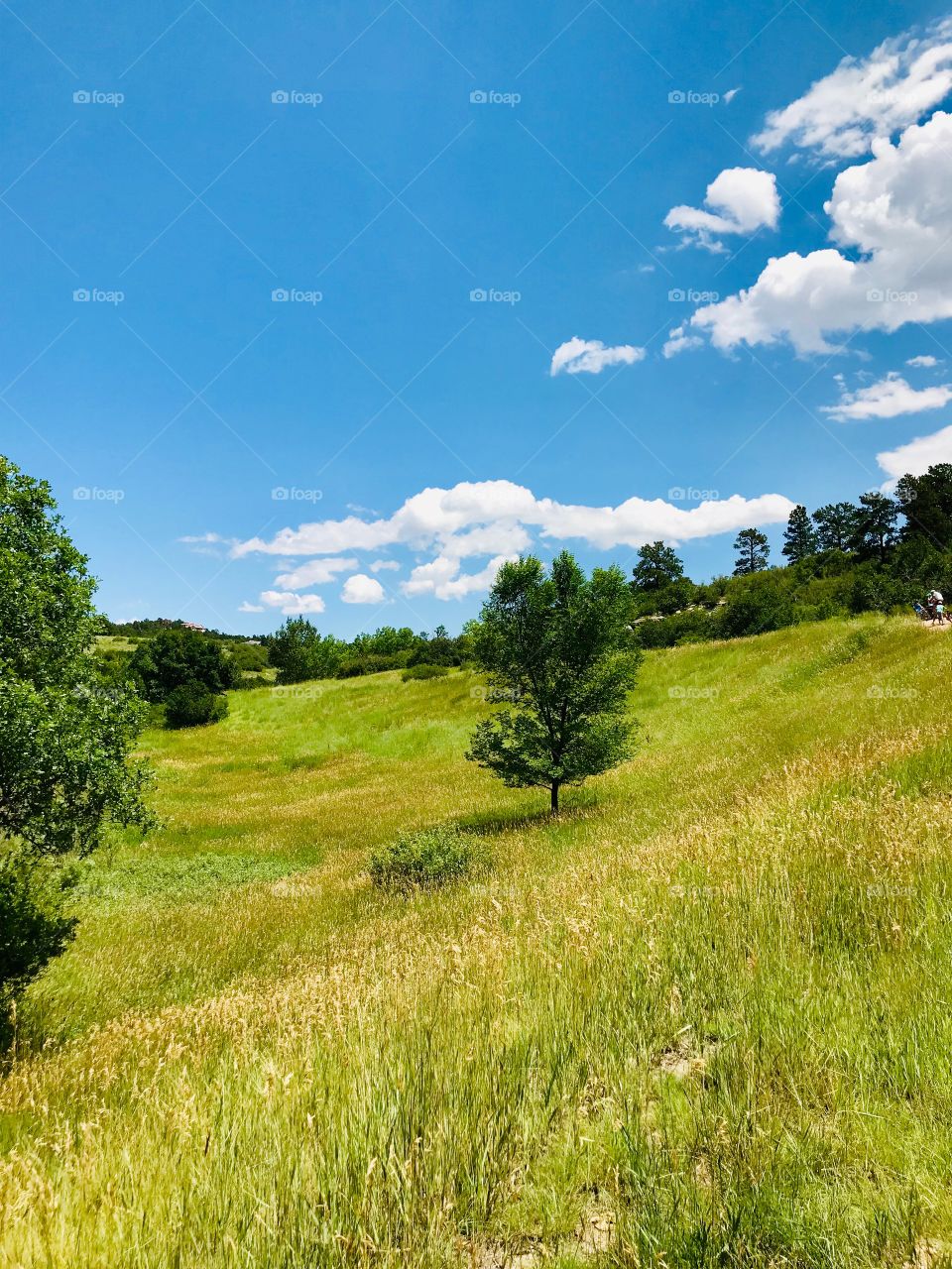 Afternoon Summer hike at Pulpit Rock open preserve in Colorado Springs. It was a beautiful day. 