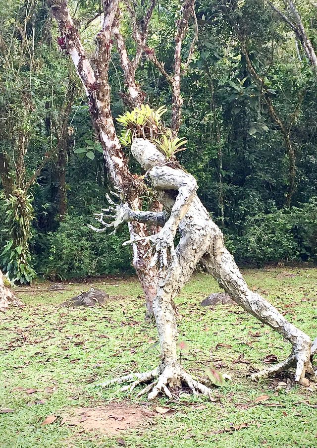 Running in nature