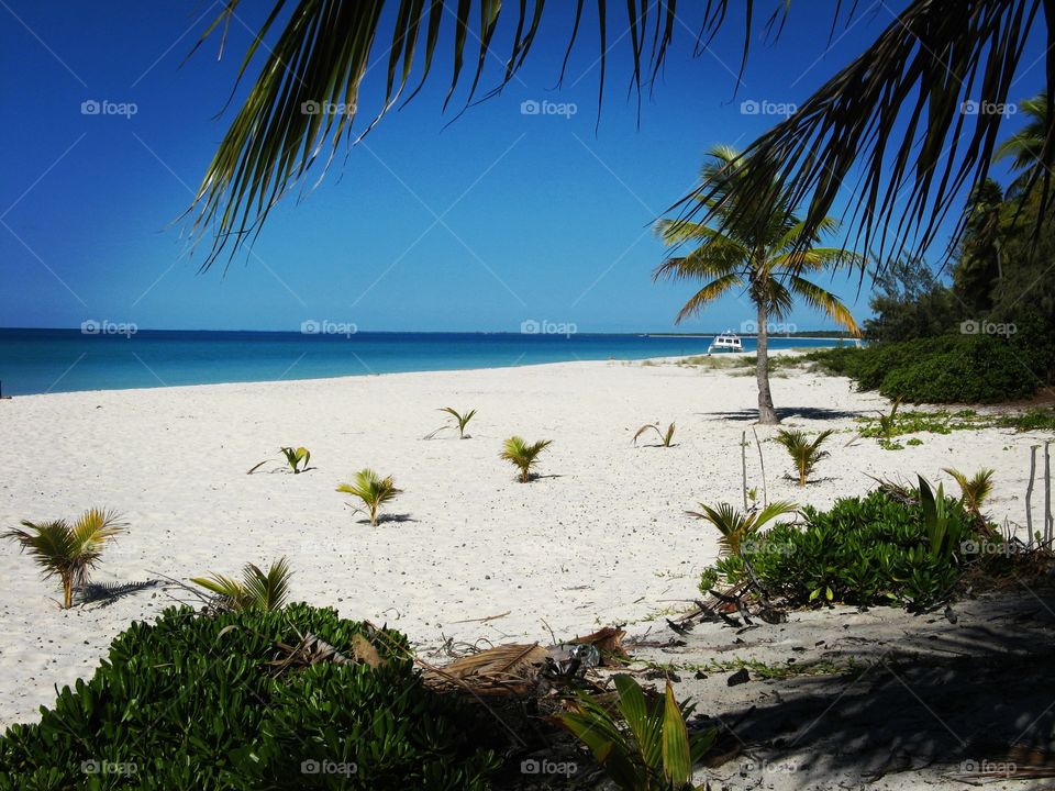 Seaside new Caledonia