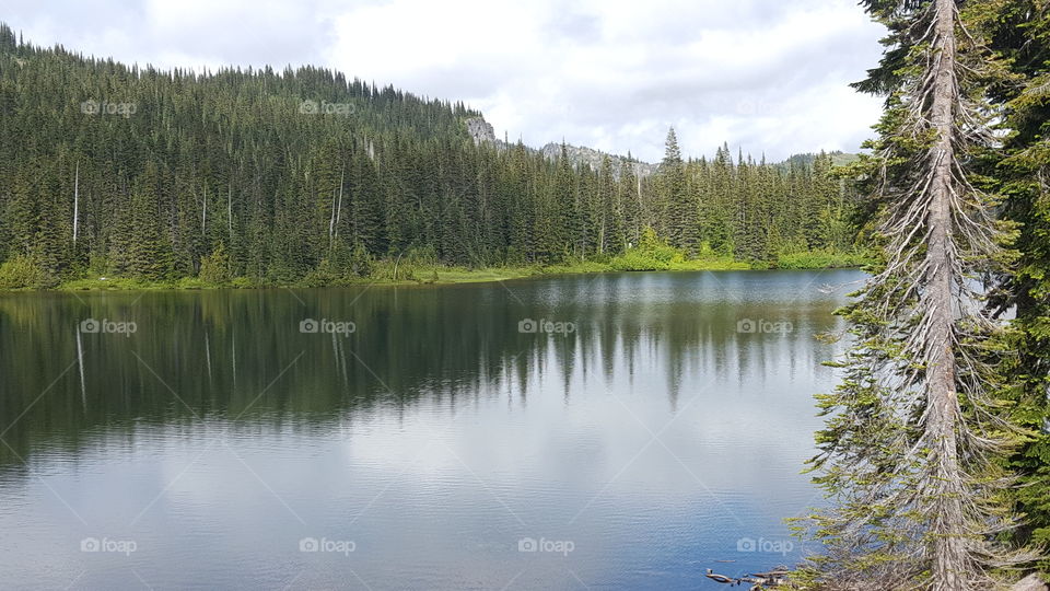 reflection lake