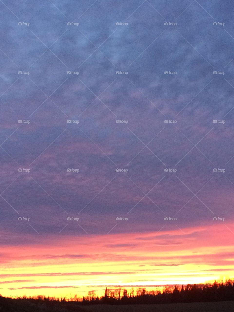 Sunset skyline 