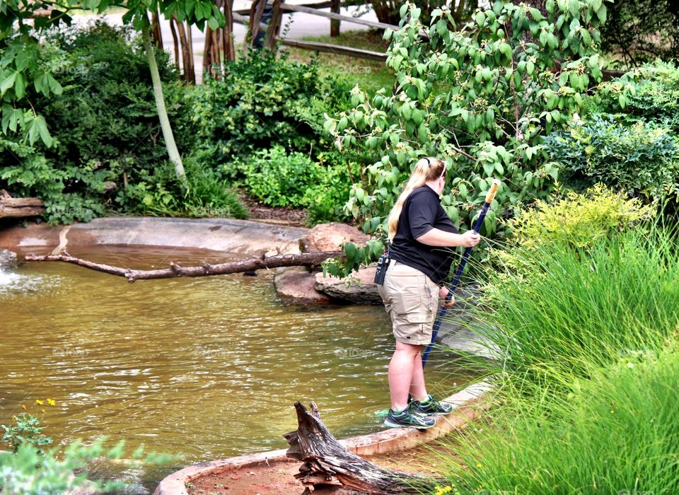 Zookeeper at Work in Pond