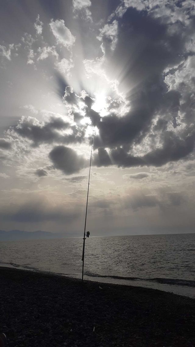 Surfcasting