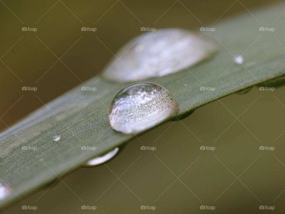 Beautiful macro raindrops 