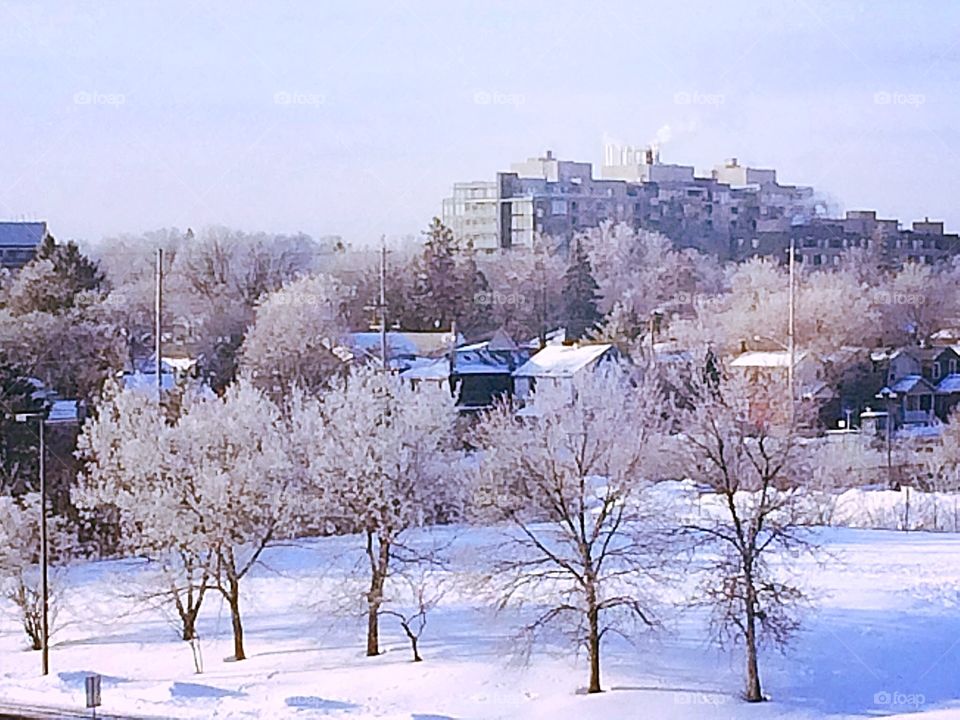 Winter scene in the city