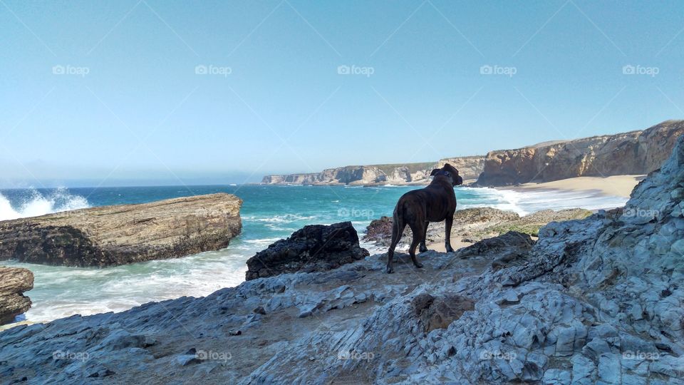 Thor on the coast