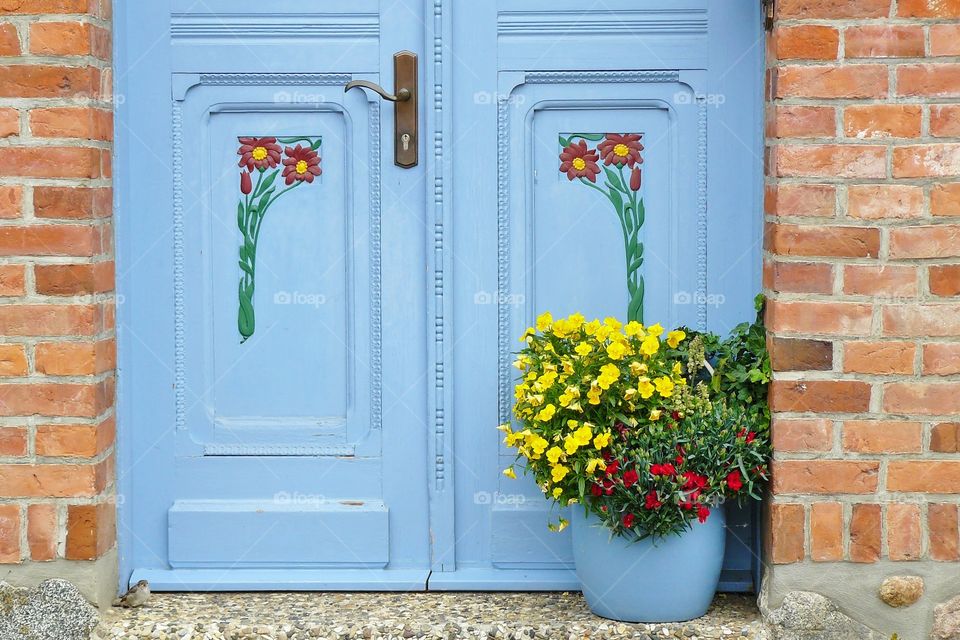 House Entrance Door