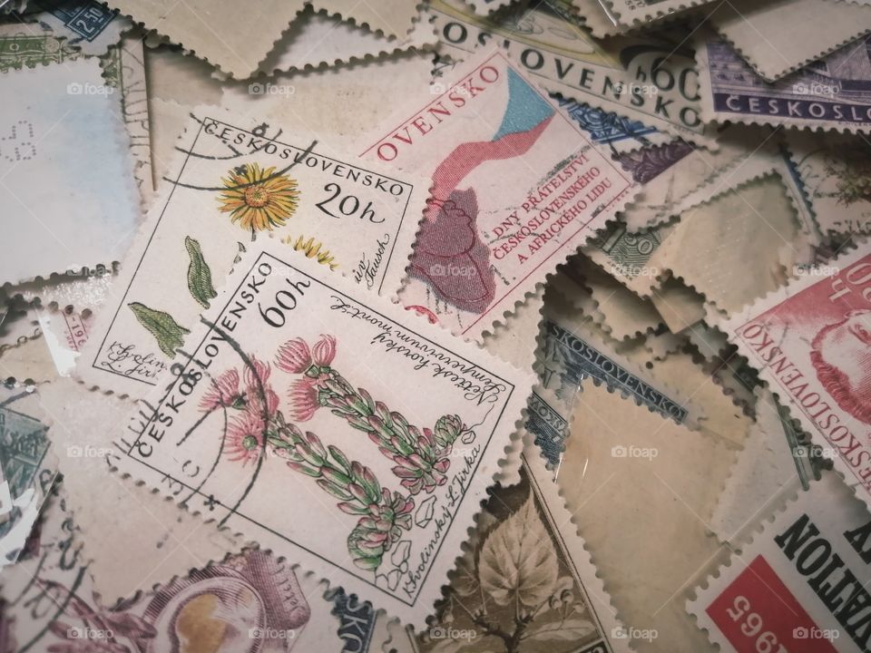 Old Czechoslovak Stamps with Plants, Canceled, in a Second Hand Book Store