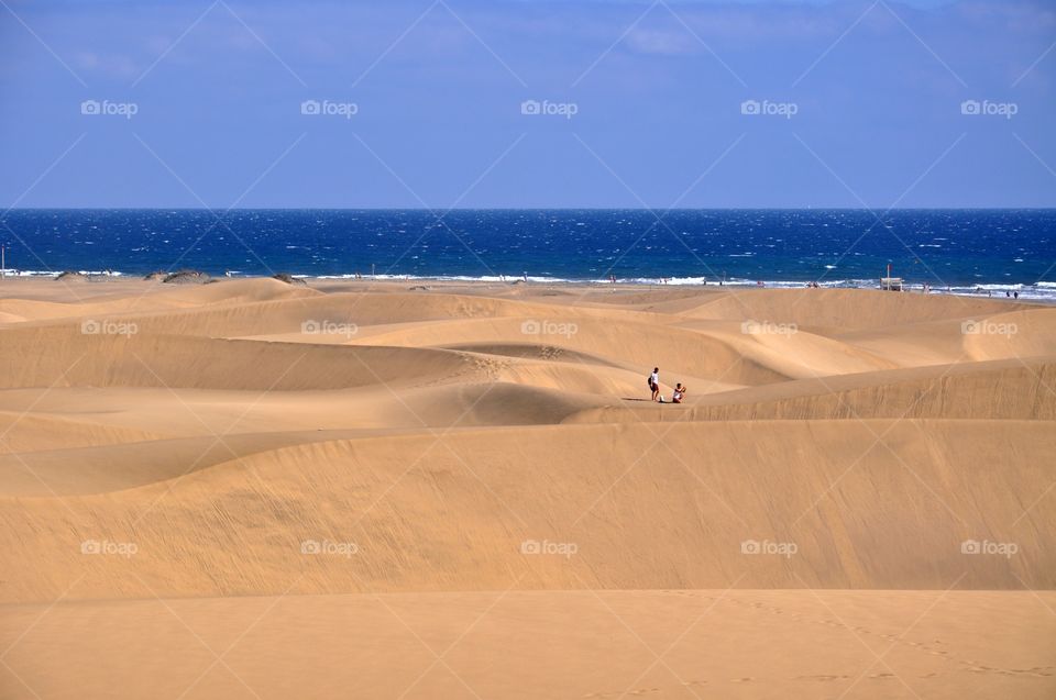 sandy dunes of maspalomas on gran canaria canary Island in Spain. the Atlantic Ocean coast