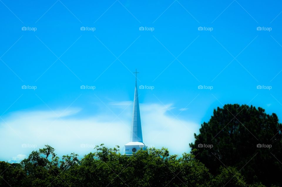 Church steeple in the trees