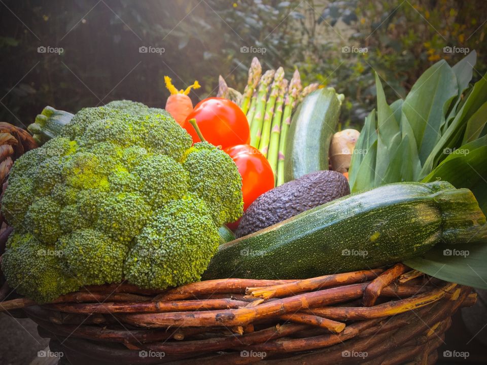 Vegetables basket  in the garden 