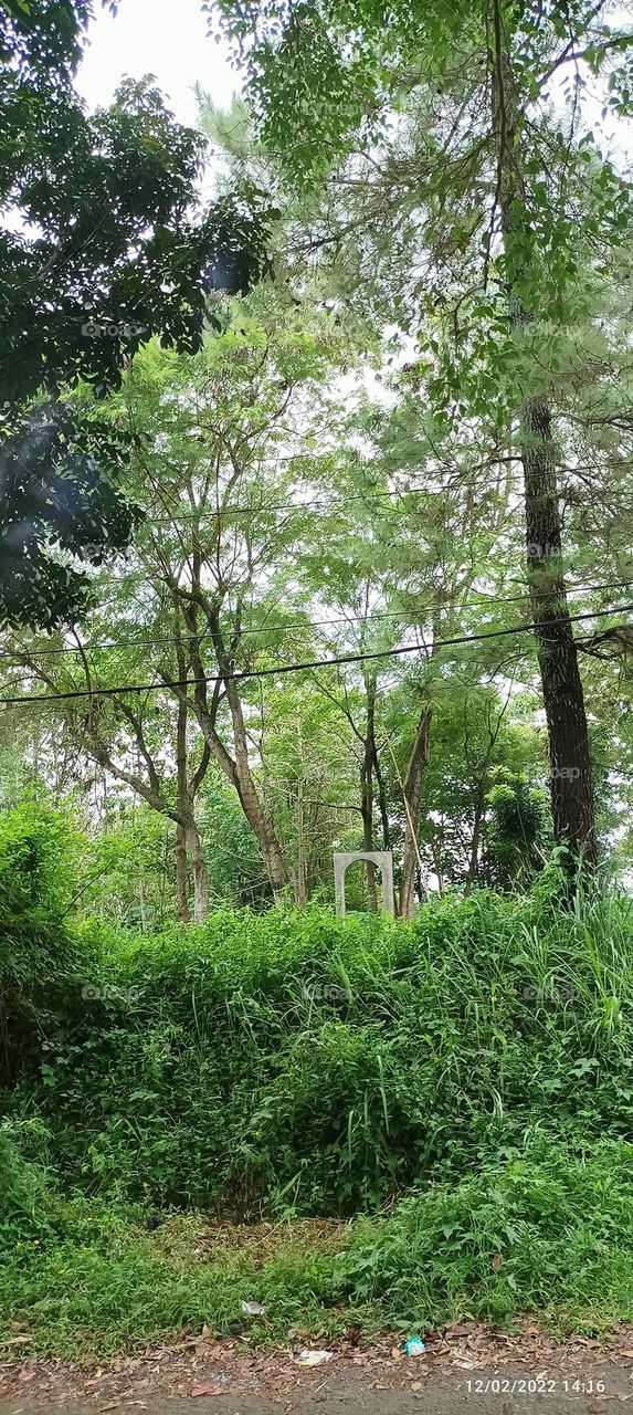 forest park on the edge of housing