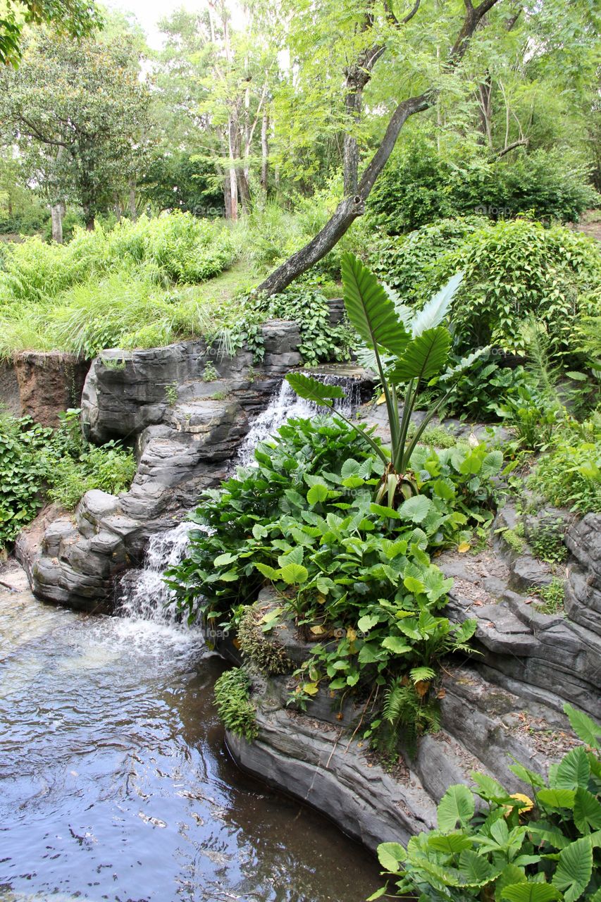 Waterfall in rainforest 
