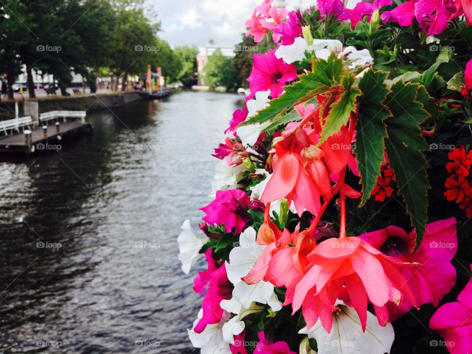 Amsterdam canal. The beauty of Amsterdam canals