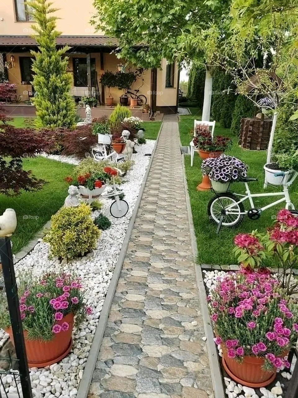 The image embodies a natural natural plate of the mountains of nature, where green agricultural stands are graded on the slopes as if they were lines of a poem, which fog harmoniously wrapped, and clouds hugged them in the mountain knife and the whis