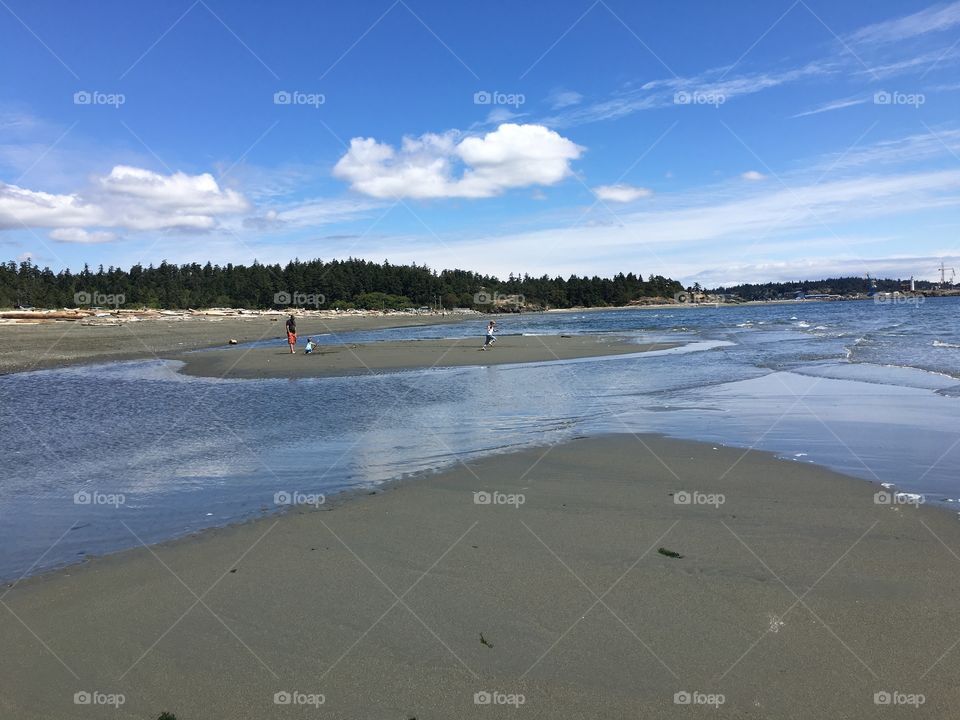 Low tide on the beach 