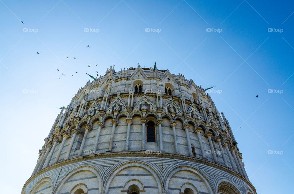Bird in flight around the Pisa Baptistery in Tuscany, Italy