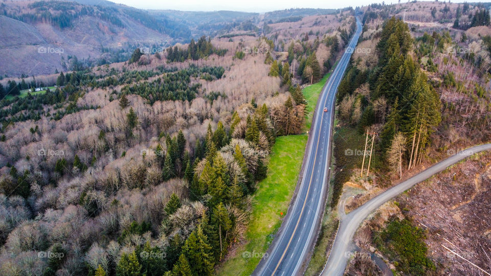 The often traveled road 