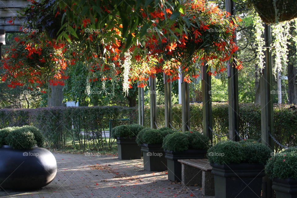 Veranda with beautiful flowers in the morning