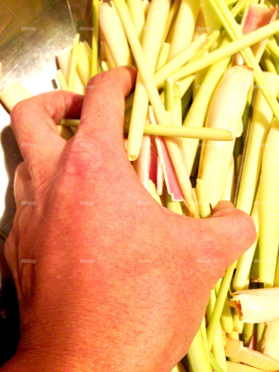 Working Hands

Published by:
HappyBrownMonkey 