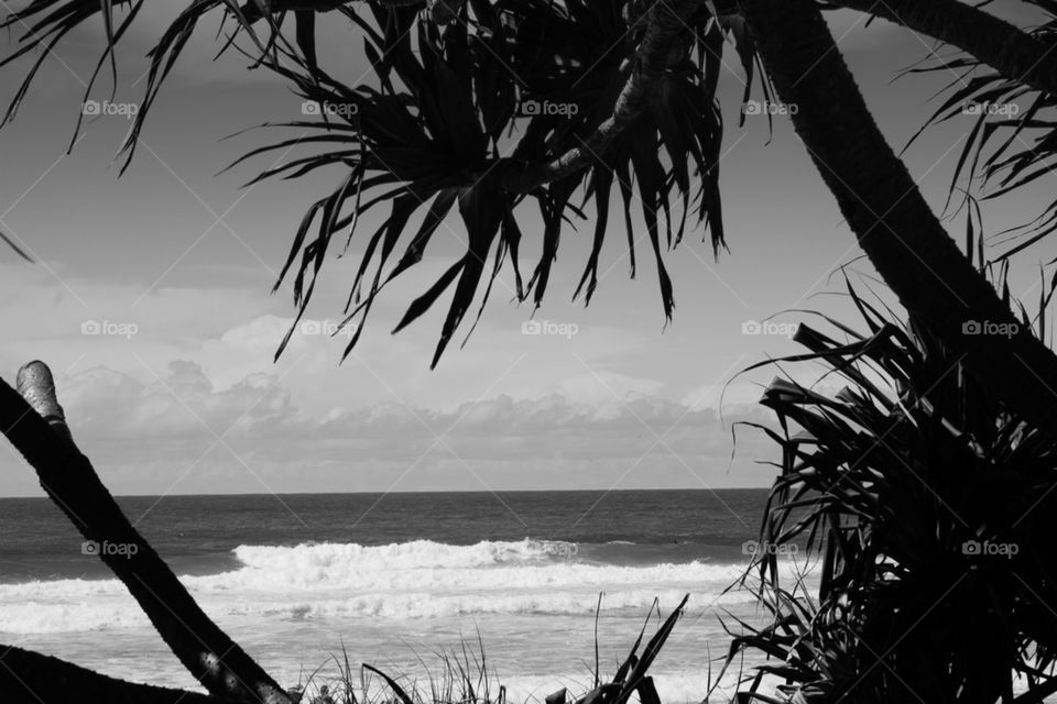 Black and White Beach View