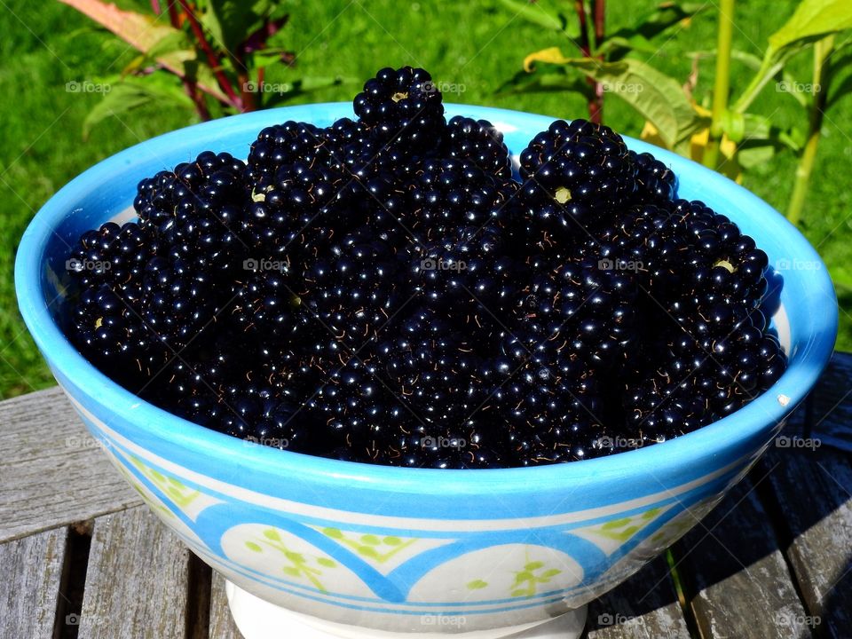 Blackberries from my garden