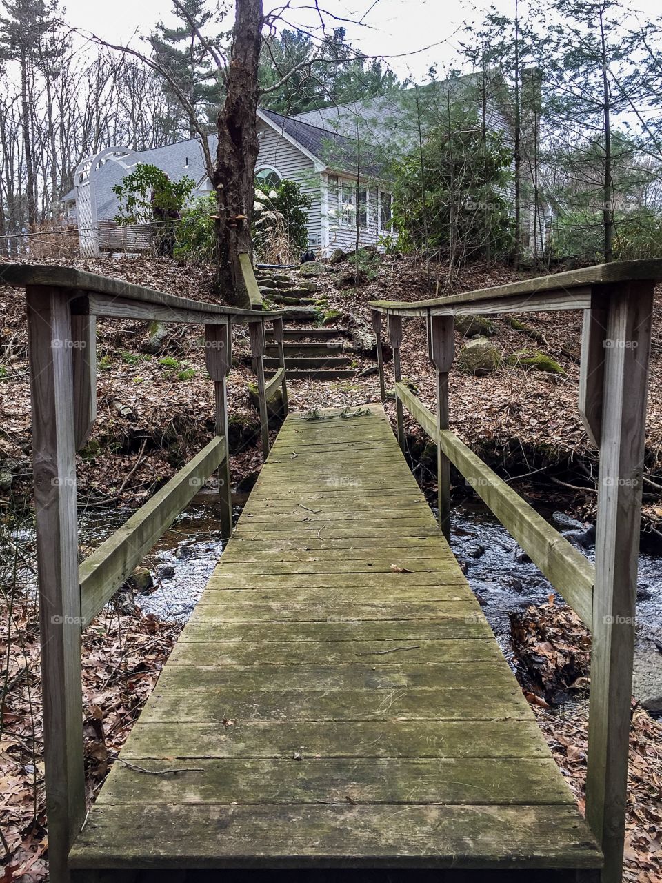 Hidden bridge in the woods