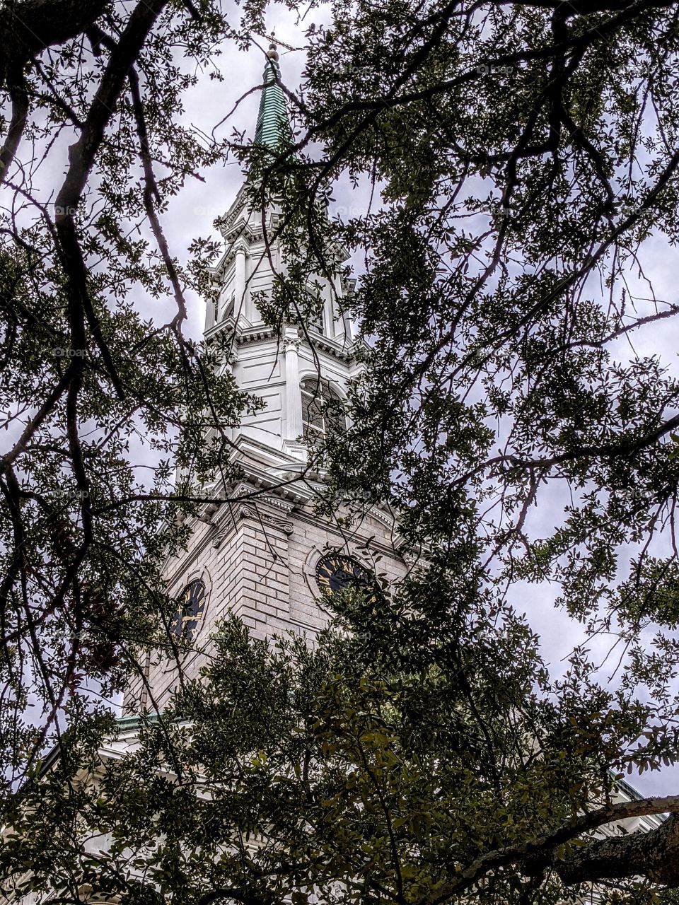 church through the trees