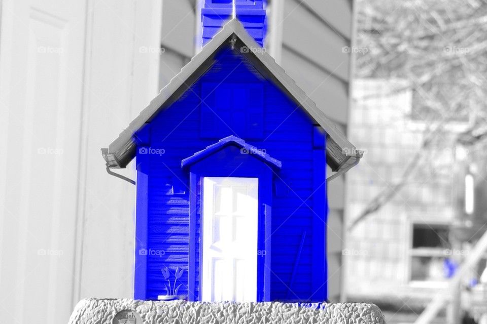 blue birdhouse 