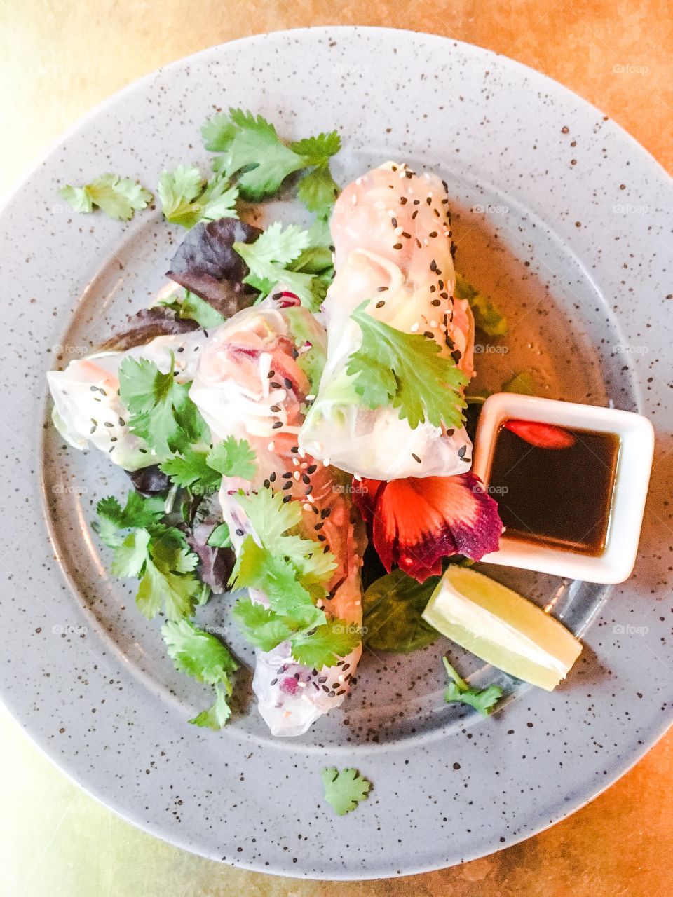 fresh plantbased spring rolls