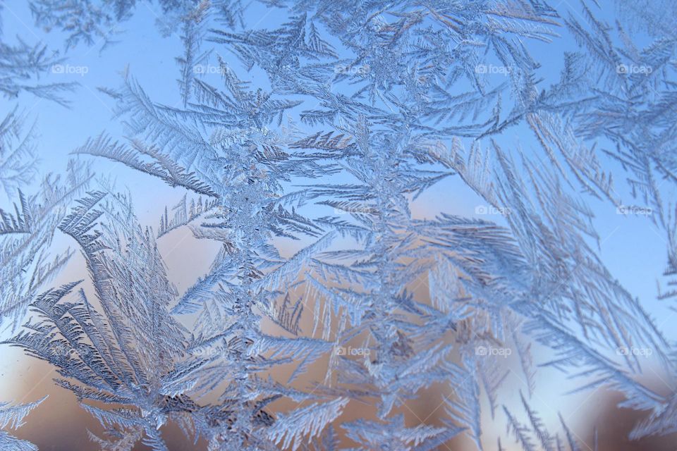 Gorgeous formed ice on window