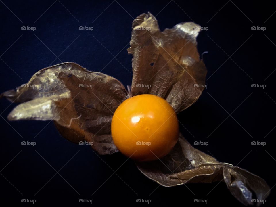Close up of a cape gooseberry, commonly referred to as physalis