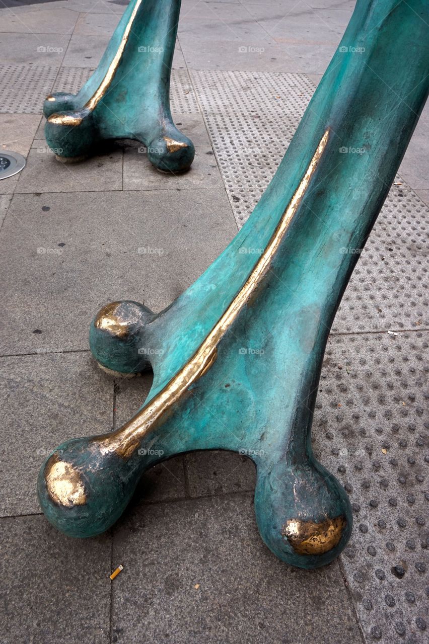 The feet of the Rana de la Fortuna (lucky frog) by dEmo, Madrid
