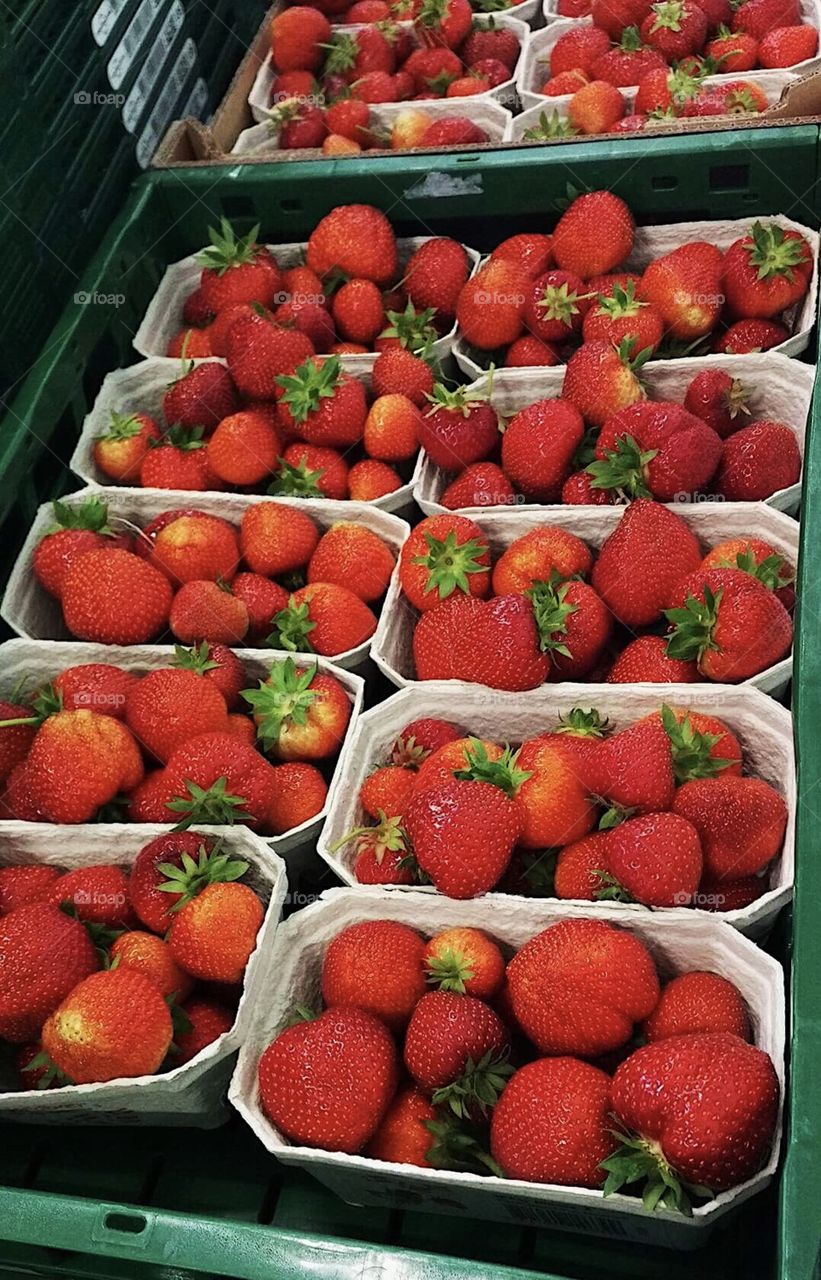 Fresh picked strawberries