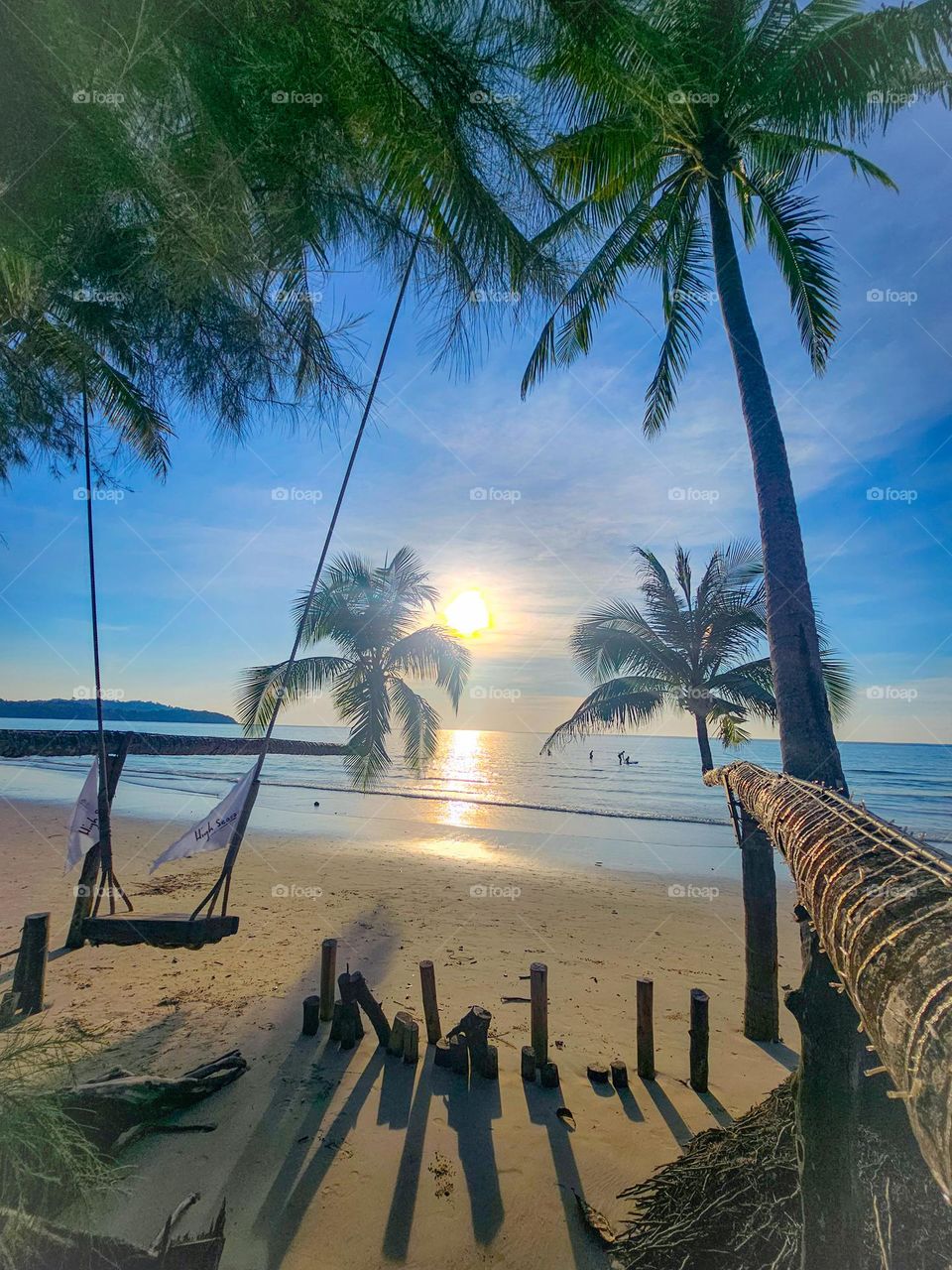 Beautiful tropical island with the perfect swing with the perfect view of palm trees and the ocean.