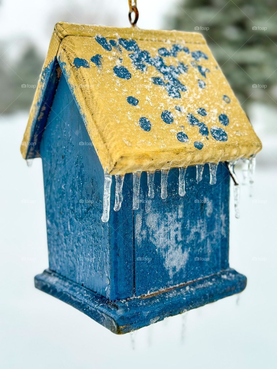 Squares and rectangles 