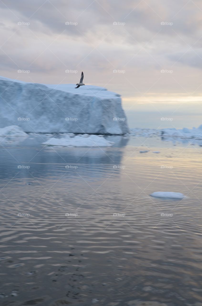 Midnight Sun Sailing Greenland