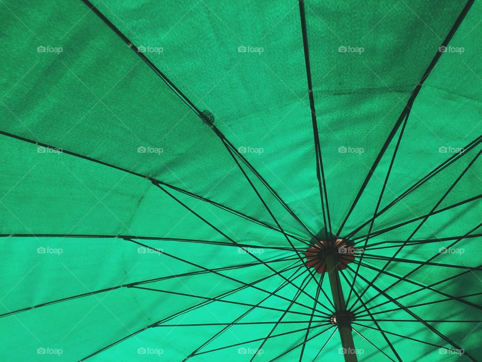 Green umbrella background
