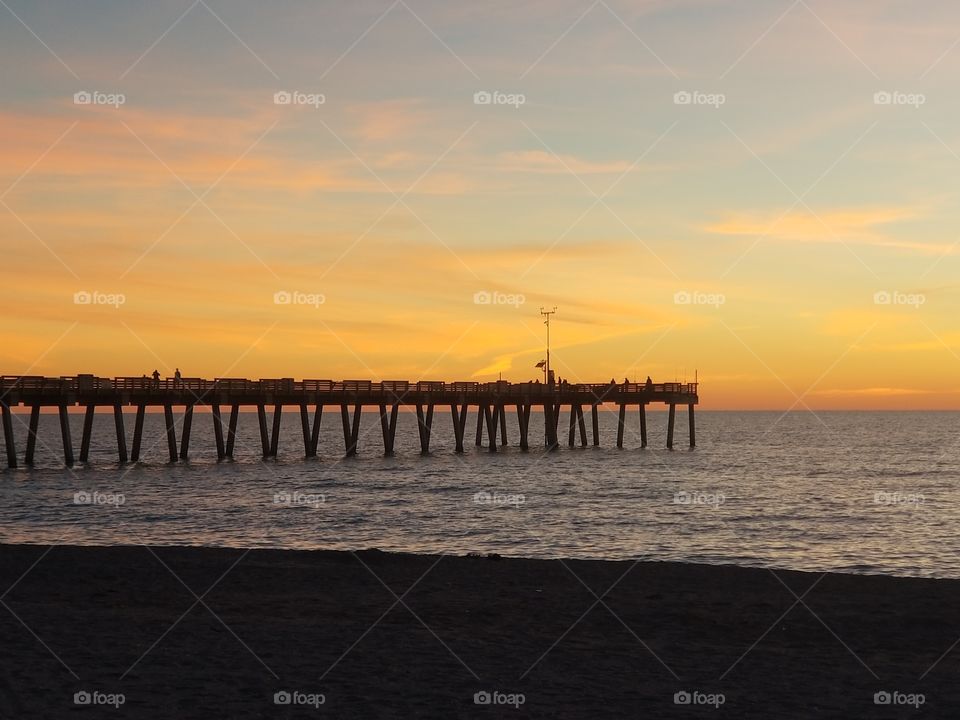 sharky's peir venice FL