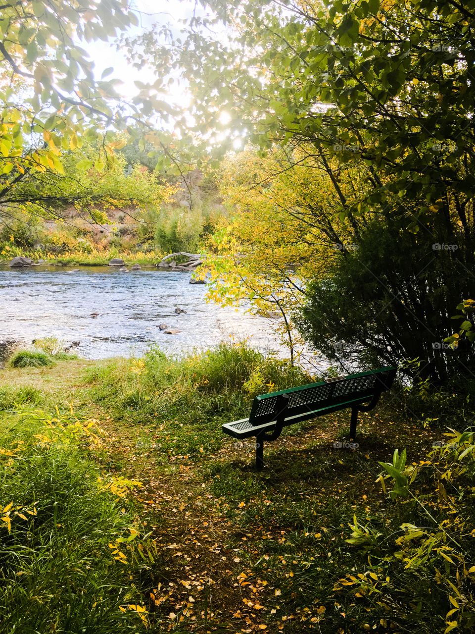 Park bench