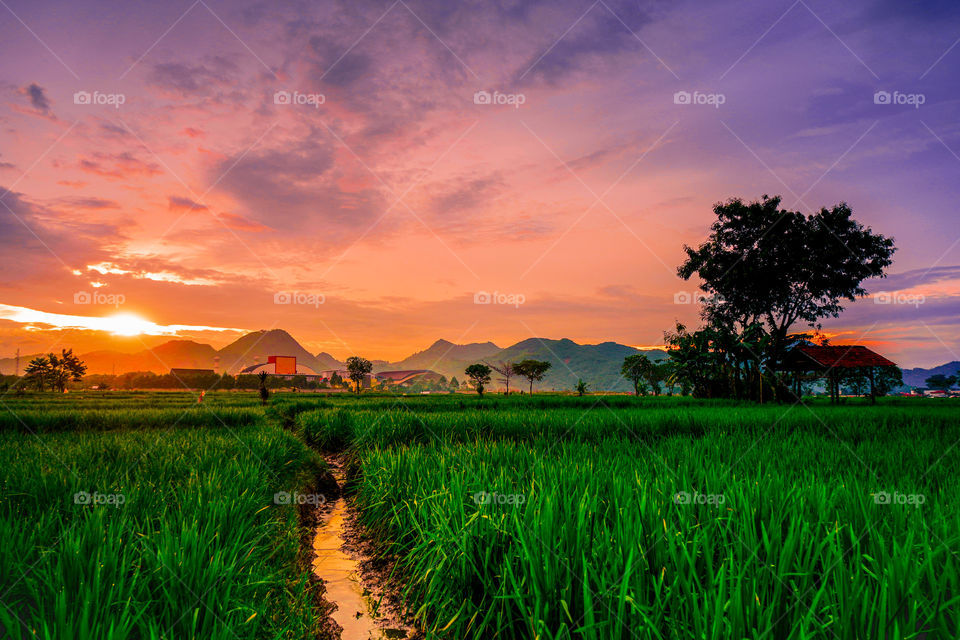 Dusk in my village