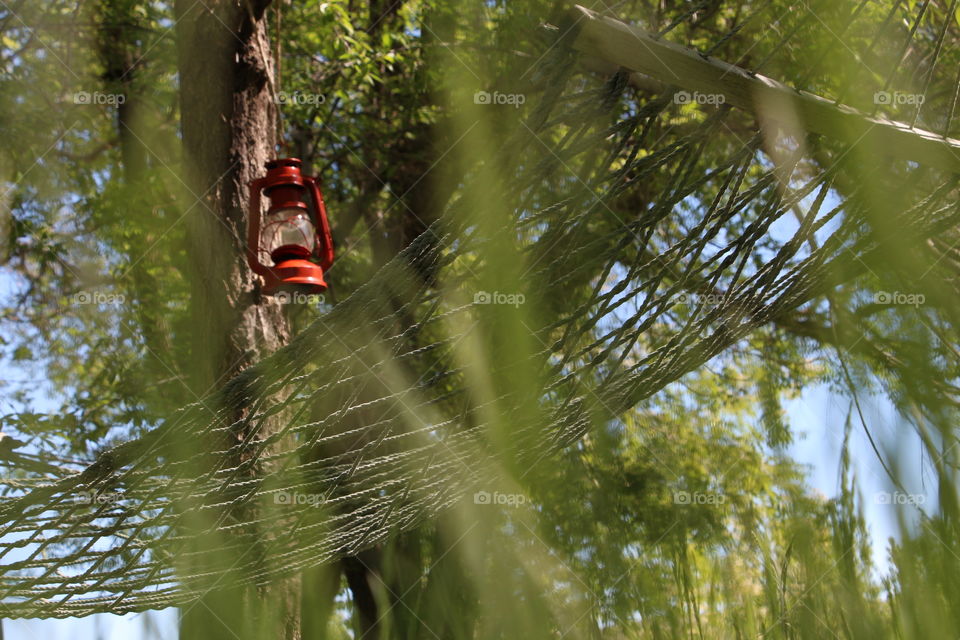 bright red lantern hanging above a hammock in the trees in summer.