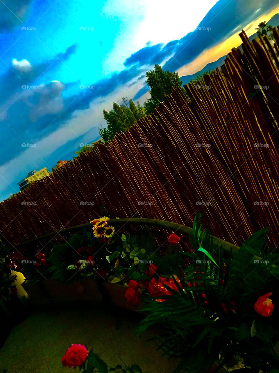 My Magic World Through My Eyes ..!!