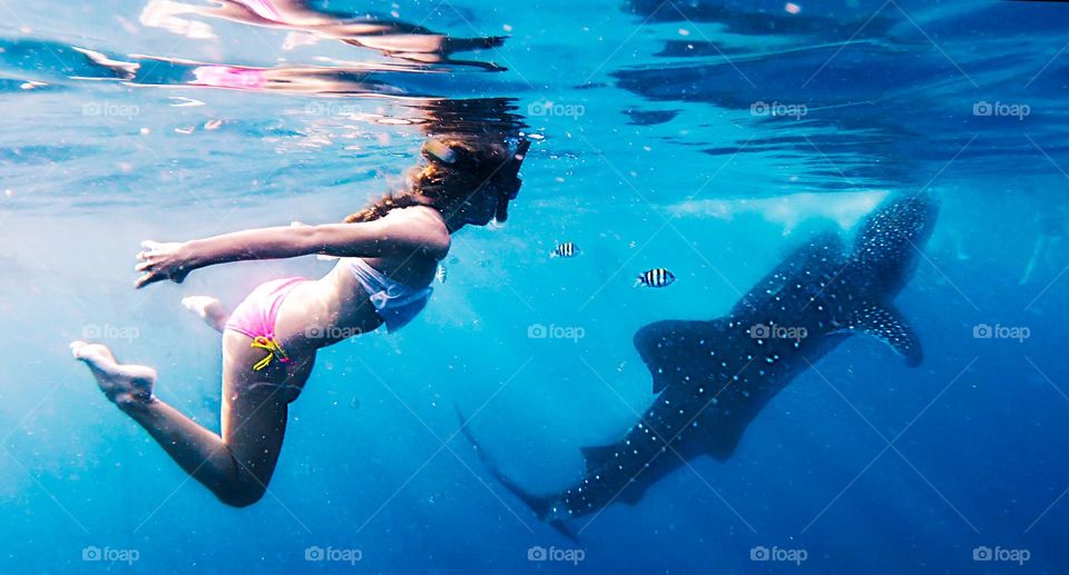 Young woman swimming with shark