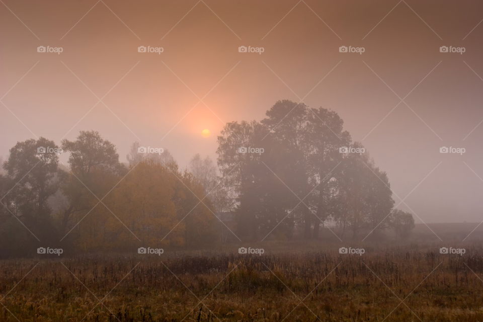 Misty morning autumn landscape