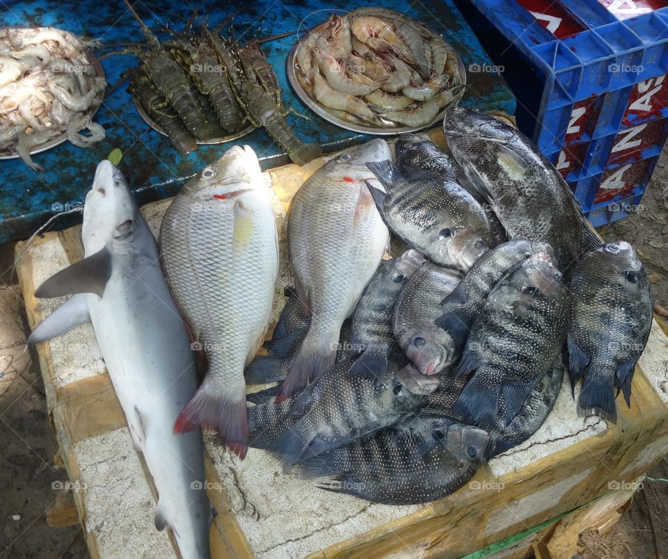 fish market in Kerala