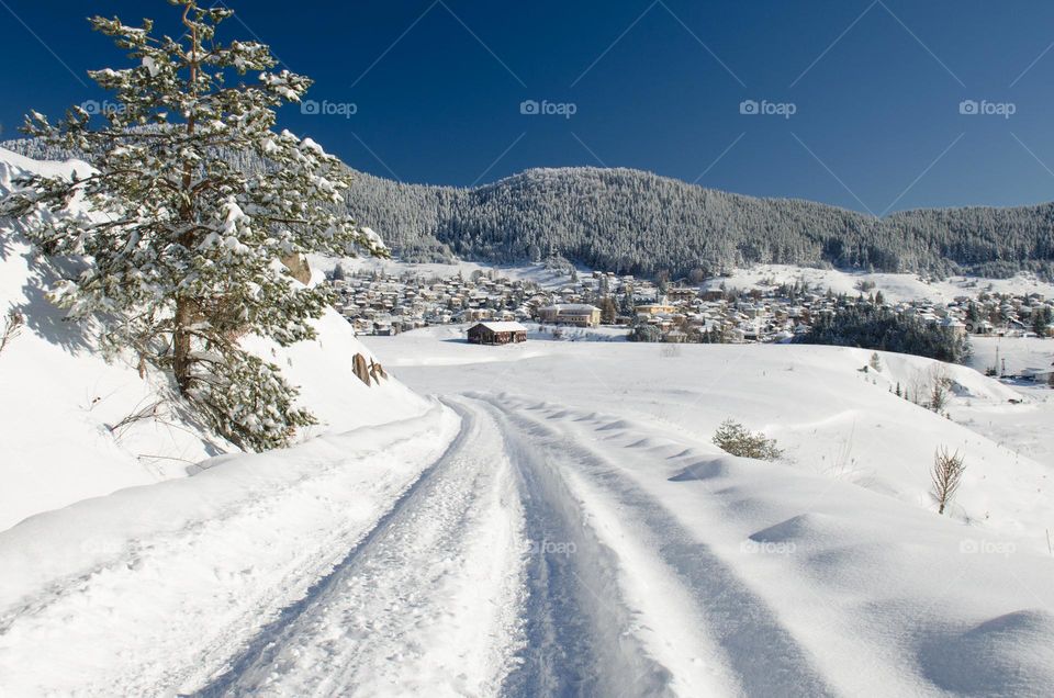 Beautiful Winter landscape